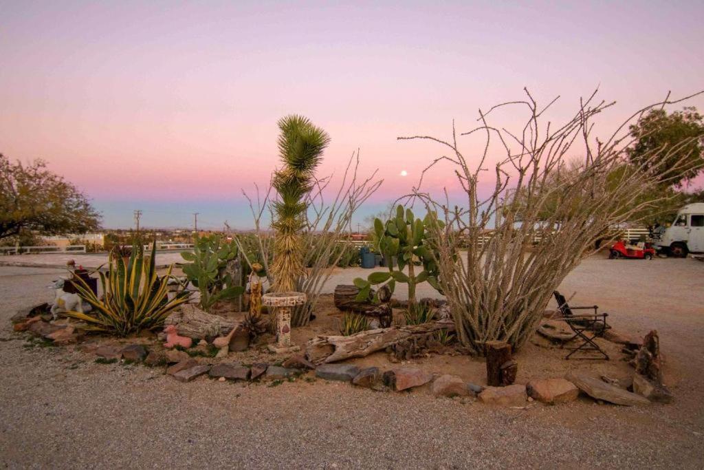 Joshua Tree Ranch House Motel - Downtown - Room #3 Buitenkant foto